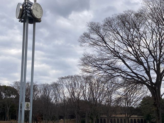 茅ヶ崎市中央公園_茅ヶ崎市中央公園
