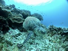 マリンクラブ ベリー 那覇店の写真1