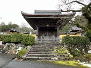 Shotaさんの蓮華寺の投稿写真1