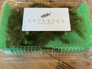 くろさんの海ぶどうと生海ぶどうソフトのお店 “ぷちぷち”の投稿写真4