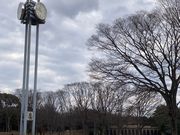 ウッキーさんの茅ヶ崎市中央公園の投稿写真1