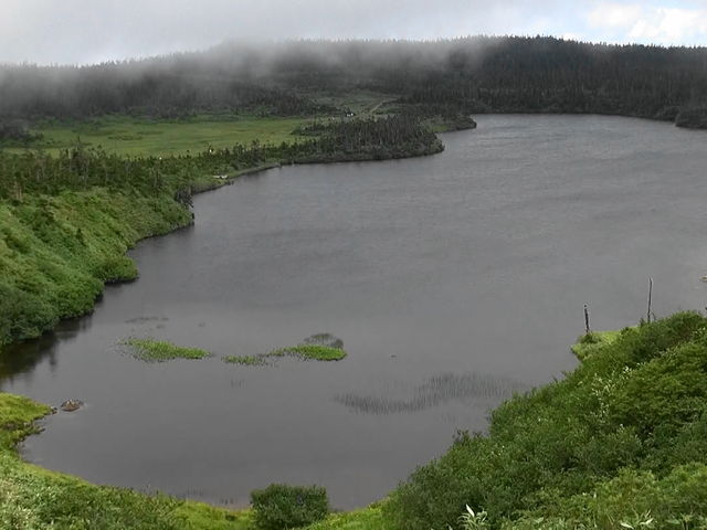 八幡沼