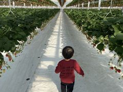 ichigos Yokohama-イチゴス横浜の写真1