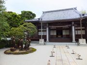 こぼらさんの長寿蘇鉄の投稿写真1