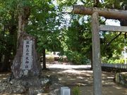 こぼらさんの浜の宮王子の投稿写真4