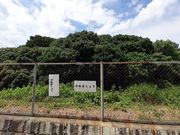 ひろさんの仲姫命陵古墳(仲津山古墳)の投稿写真1