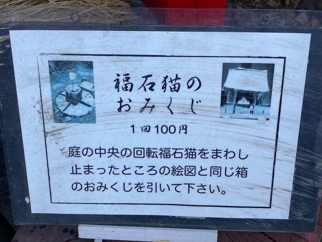猫の細道_猫の細道
