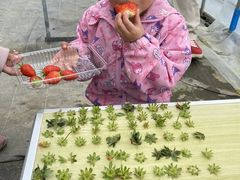 まなさんのMoonLightFarmへの投稿写真1