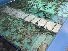 こーすけさんの晴れパークたてやまへの投稿写真1