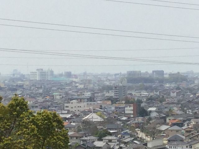 春霞の大牟田市街(ゆめタウン大牟田方面)_三池公園の桜