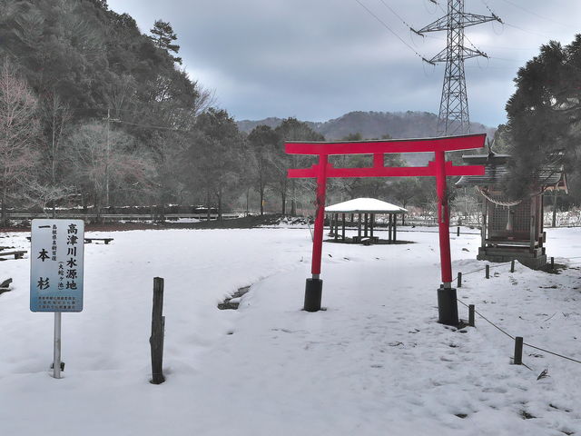 水源公園_水源公園