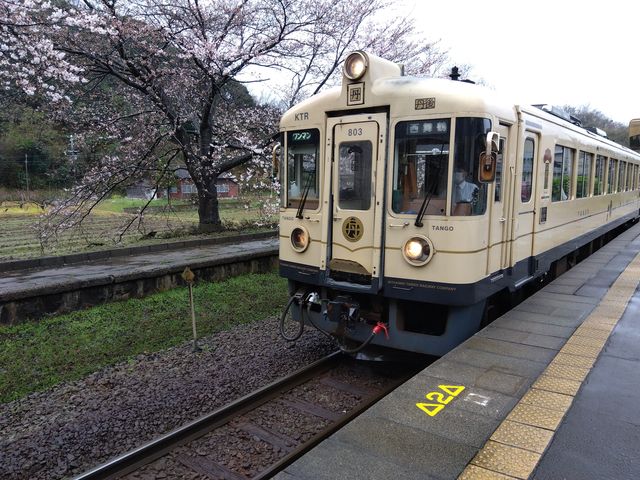 咲き始めの桜と京都丹後鉄道です。_木津温泉駅周辺