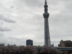ゴンザレスママさんの東京都観光汽船への投稿写真1