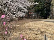 7DICEさんの烏が森公園の投稿写真1