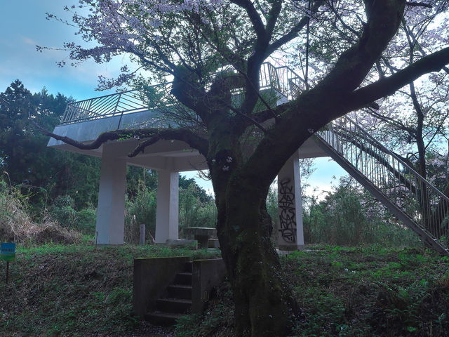 sklfhさんの七沢展望台の投稿写真1