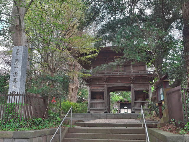 sklfhさんの徳善寺の萩の投稿写真1