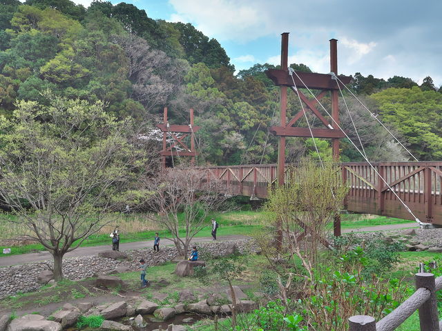 緑のかけ橋_緑のかけ橋
