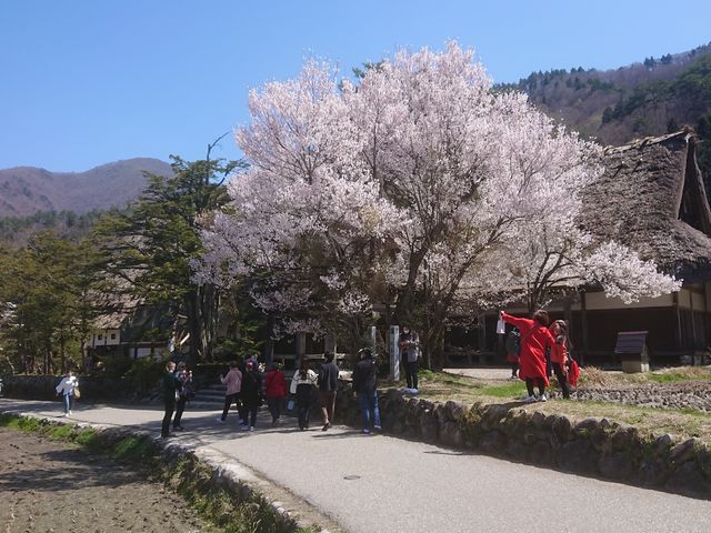 明善寺鐘楼門