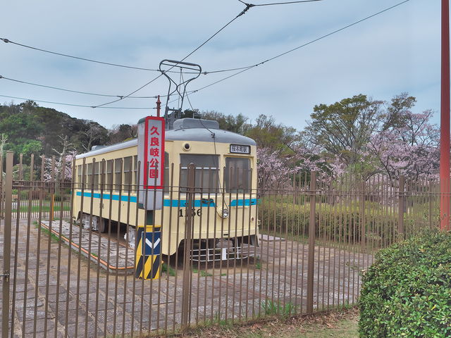 久良岐公園_久良岐公園