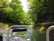 サクラサクさんの琵琶湖疏水の投稿写真2