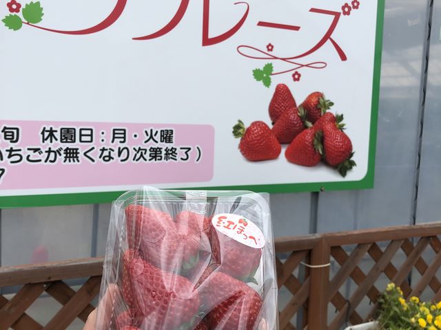 お土産のいちご_いちご園ラフレーズ