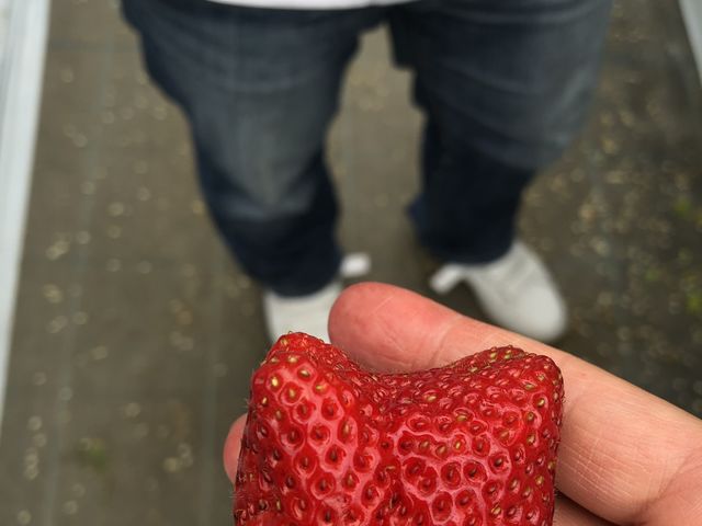 このような形でも味がいい!!_いちご園ラフレーズ