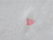 よしのさんの東京友禅研究会の投稿写真2