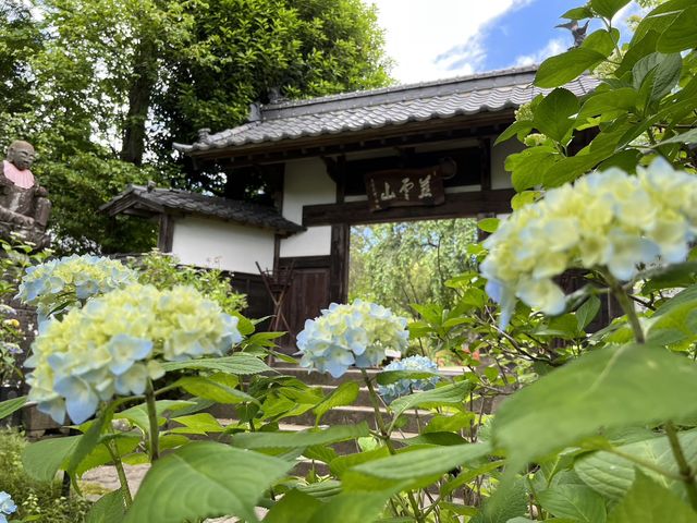 2023.6.19_資福寺