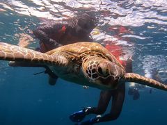 osamuさんのSHISHI石垣島への投稿写真1