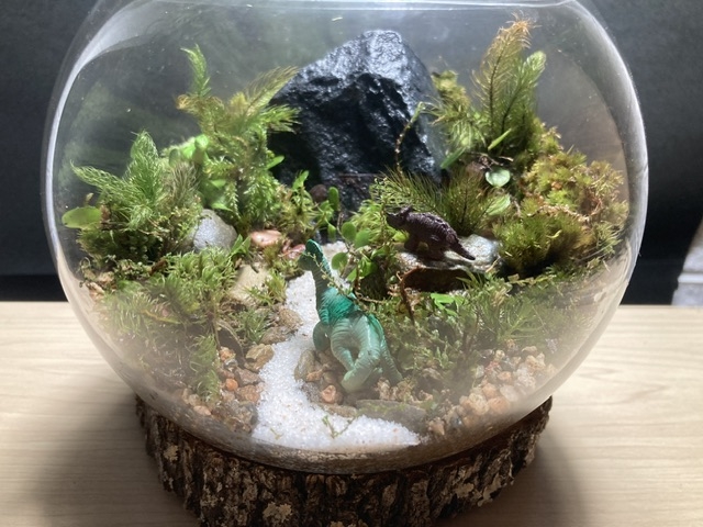 思い通りに出来たかな?_苔むす屋