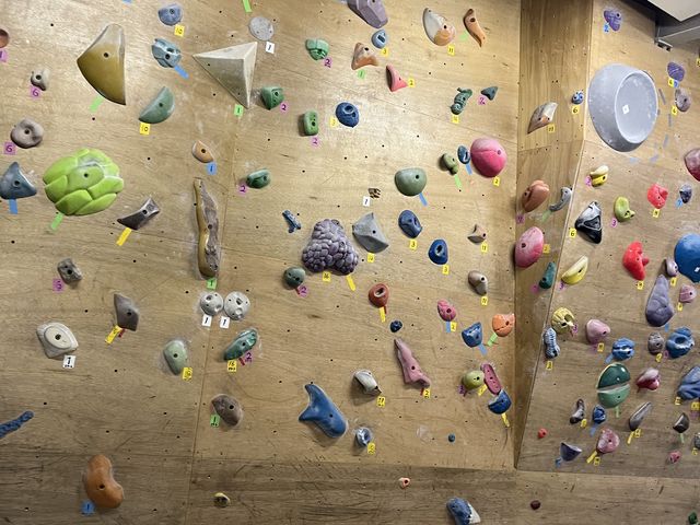 今回登ったホールド達です
楽しかったです!_ナカガイクライミングジム 堺・白鷺