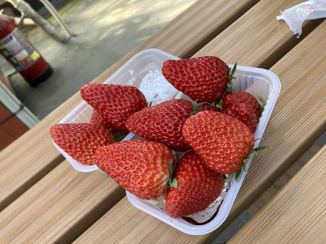 百貨店に並ぶような完熟大粒のいちご_ICHIGOYA・SUN
