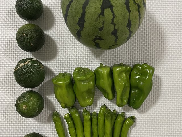 全部美味しいけど、その中でもピーマンおすすめ!_コミュニケーションファクトリー