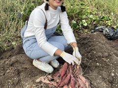 大阪のヒガシくんさんの自然農園ほのぼ〜のへの投稿写真1