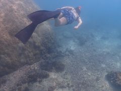 しゅうまさんのSaltwater social clubへの投稿写真1