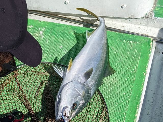 これが1番笑いすぎて大格闘して釣り上げたやつ_佐世保遊漁船シーボンズ