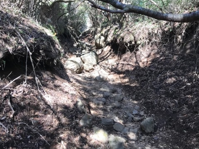 終盤のガレ場_明神ケ岳