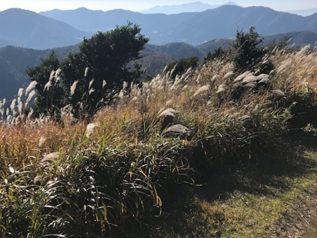 頂上付近_明神ケ岳