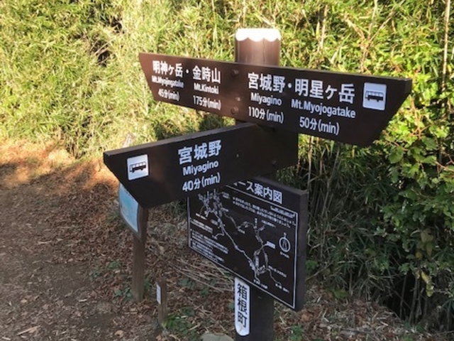 明星ヶ岳・宮城野分岐_明神ケ岳