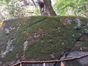 ひーろーさんの丹内山神社の投稿写真4