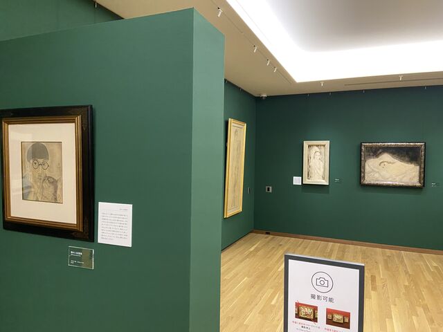 国内の美術館では異例の全館撮影OK(ただし「風景」として、1枚に3点以上の作品が写り込んでいること)_軽井沢安東美術館