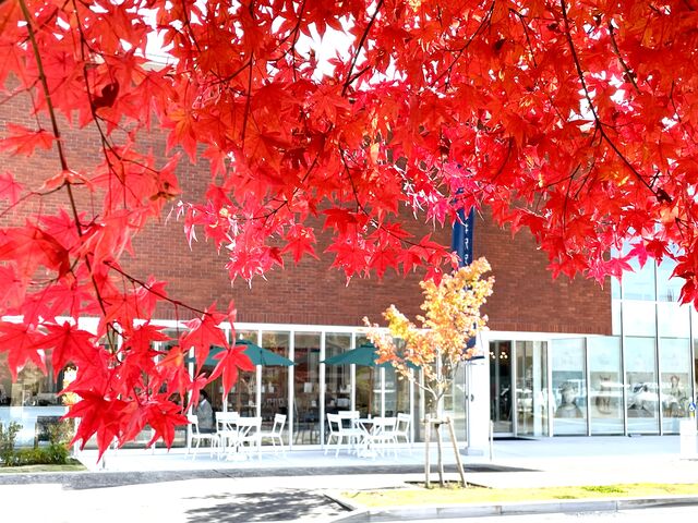 紅葉の季節_軽井沢安東美術館