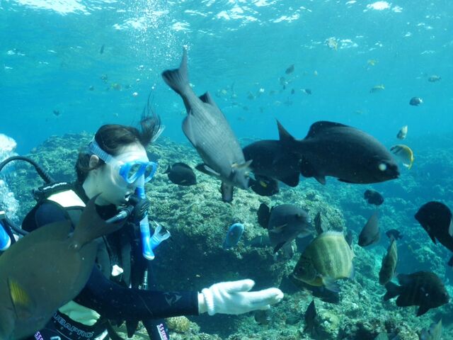 魚達と_沖縄アイランドダイビングサービス