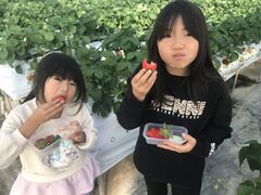 スーちゃんさんのお陽様農園への投稿写真1