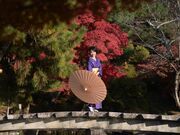 とーこさんの着物レンタル 京都ロケ撮影 トリメモの投稿写真1