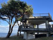 イワダイさんの赤浜展望台の投稿写真1