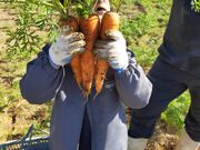 ひろみさんの里山農園やぎファームの投稿写真1