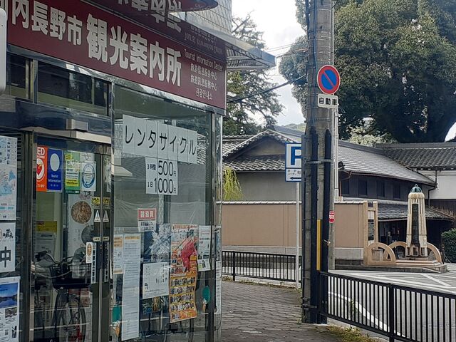 高野街道の大きなクスノキの前にあります。_河内長野市観光案内所