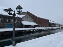 ローズマリーさんの小樽運河への投稿写真1