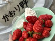 好美さんのマンモスいちご園の投稿写真1